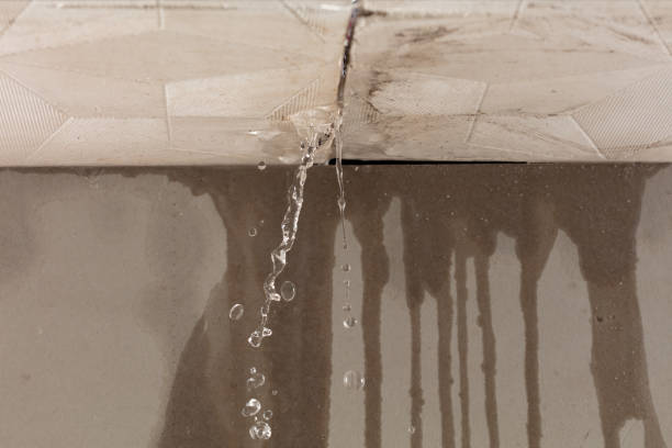 Professional Structural Drying technician working in Paint Rock, AL